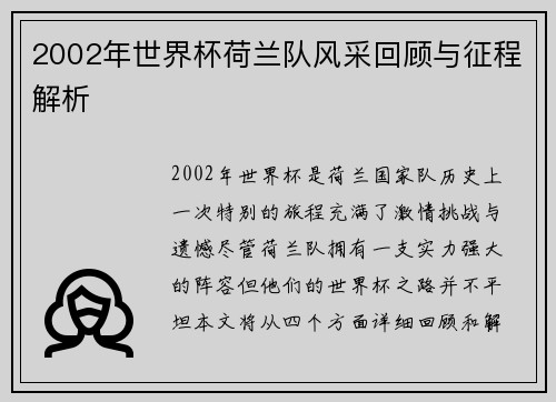 2002年世界杯荷兰队风采回顾与征程解析